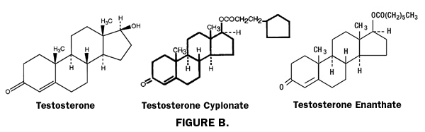 Ester Molecule