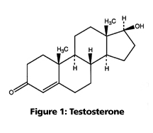 Chemical Structure Testosterone