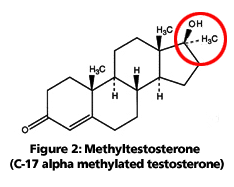 methyltestosterone molecule